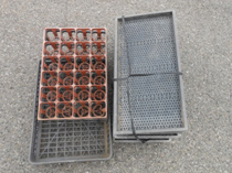 トレー、育苗箱